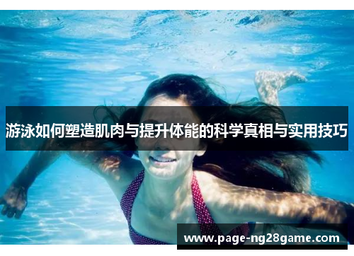 游泳如何塑造肌肉与提升体能的科学真相与实用技巧 游泳如何塑造肌肉与提升体能的科学真相与实用技巧