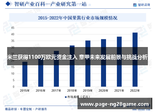 米兰获得1100万欧元资金注入 意甲未来发展前景与挑战分析 米兰获得1100万欧元资金注入 意甲未来发展前景与挑战分析