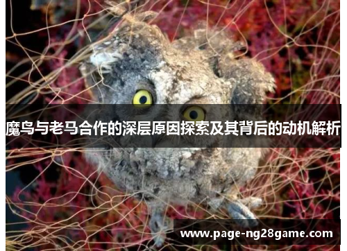 魔鸟与老马合作的深层原因探索及其背后的动机解析