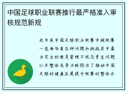 中国足球职业联赛推行最严格准入审核规范新规 中国足球职业联赛推行最严格准入审核规范新规