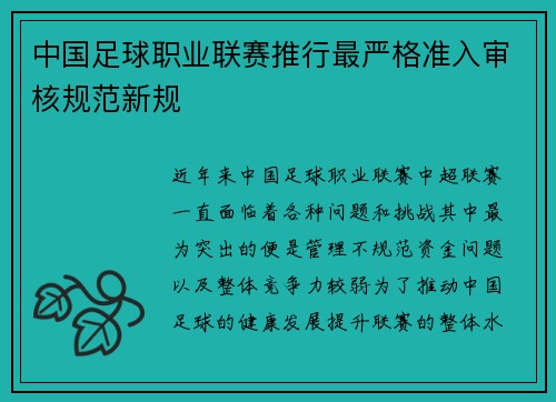 中国足球职业联赛推行最严格准入审核规范新规 中国足球职业联赛推行最严格准入审核规范新规